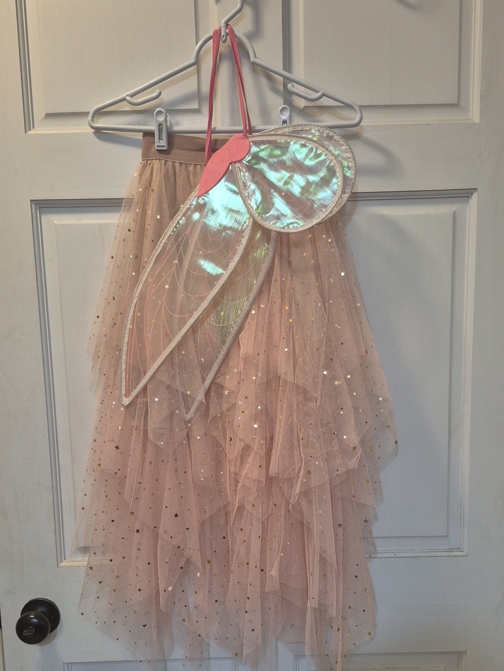 Fairy Skirt And Wings
